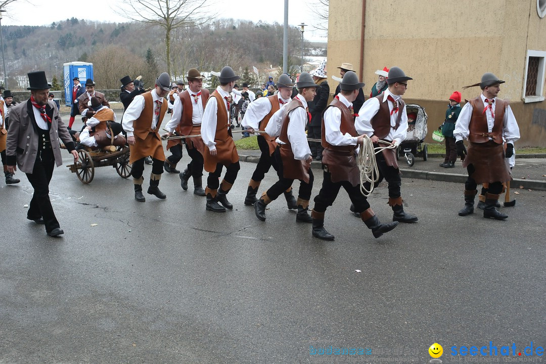 Festumzug mit Motivwagen: Stockach am Bodensee, 01.02.2015