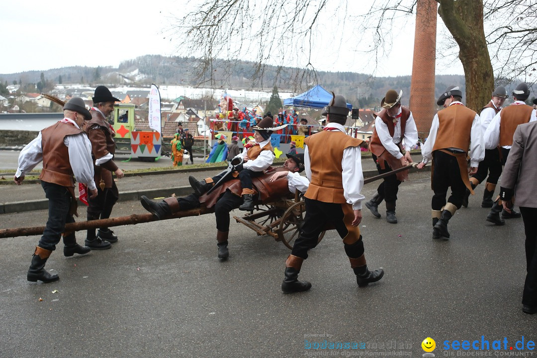 Festumzug mit Motivwagen: Stockach am Bodensee, 01.02.2015