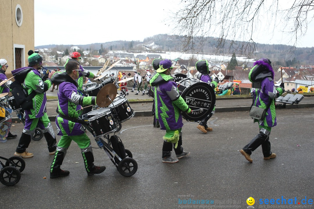 Festumzug mit Motivwagen: Stockach am Bodensee, 01.02.2015