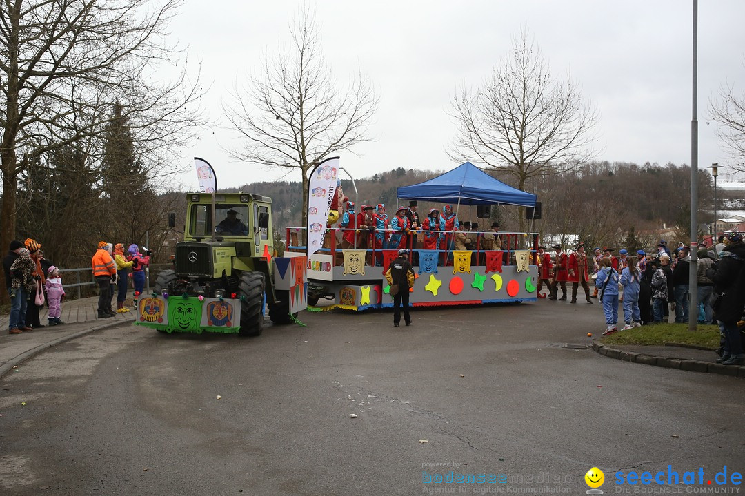 Festumzug mit Motivwagen: Stockach am Bodensee, 01.02.2015