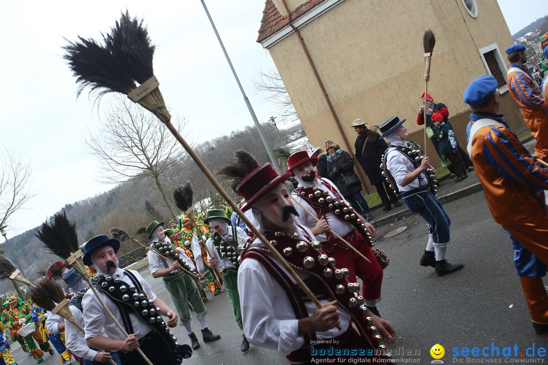 Festumzug mit Motivwagen: Stockach am Bodensee, 01.02.2015