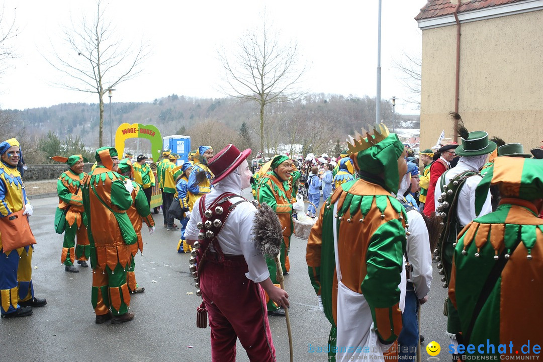 Festumzug mit Motivwagen: Stockach am Bodensee, 01.02.2015