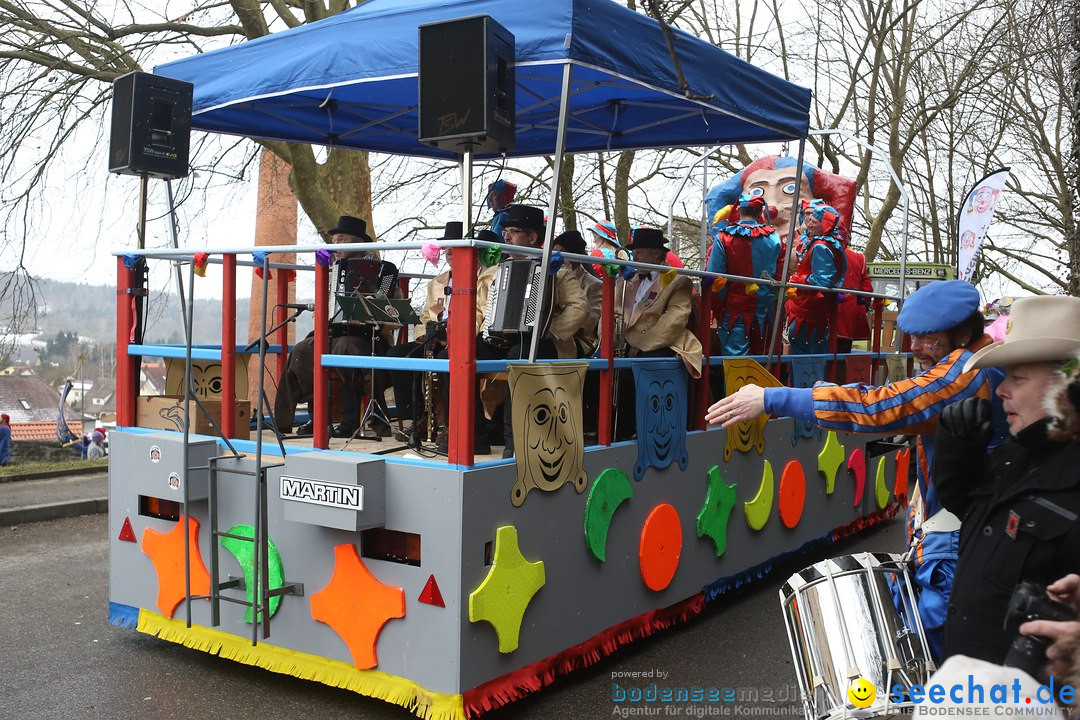 Festumzug mit Motivwagen: Stockach am Bodensee, 01.02.2015