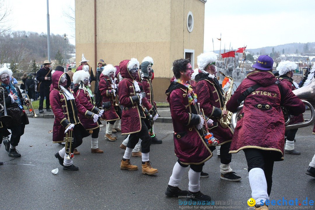 Festumzug mit Motivwagen: Stockach am Bodensee, 01.02.2015