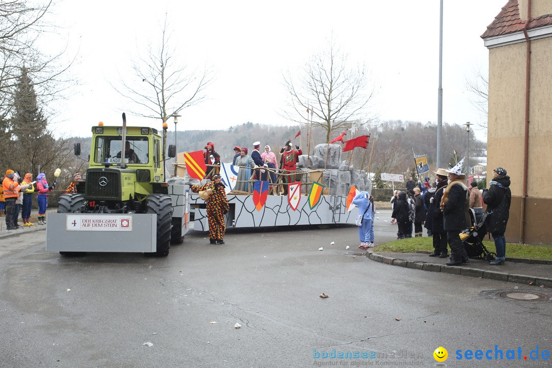 Festumzug mit Motivwagen: Stockach am Bodensee, 01.02.2015