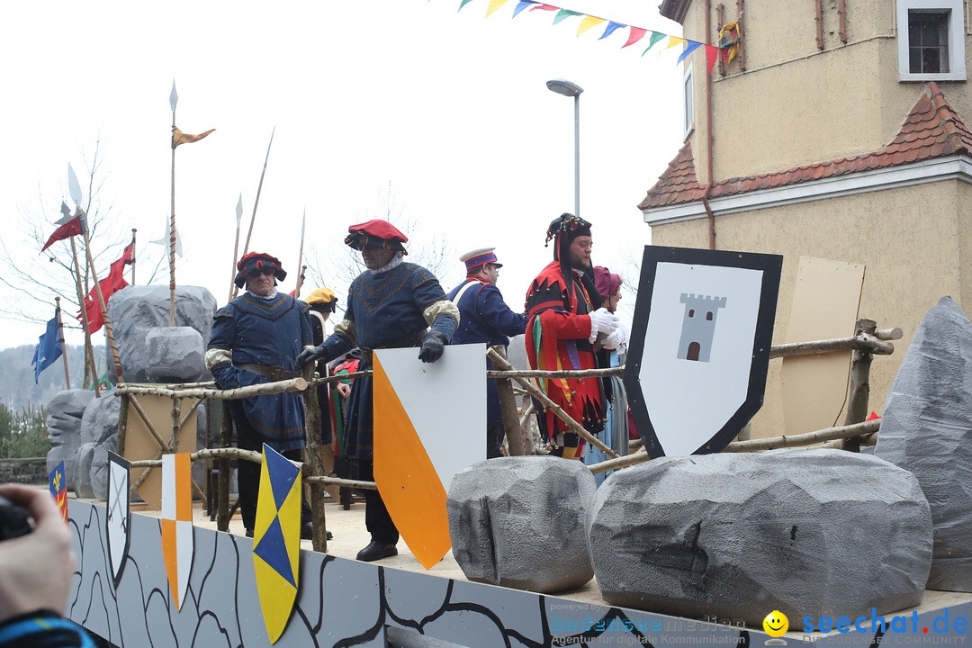 Festumzug mit Motivwagen: Stockach am Bodensee, 01.02.2015