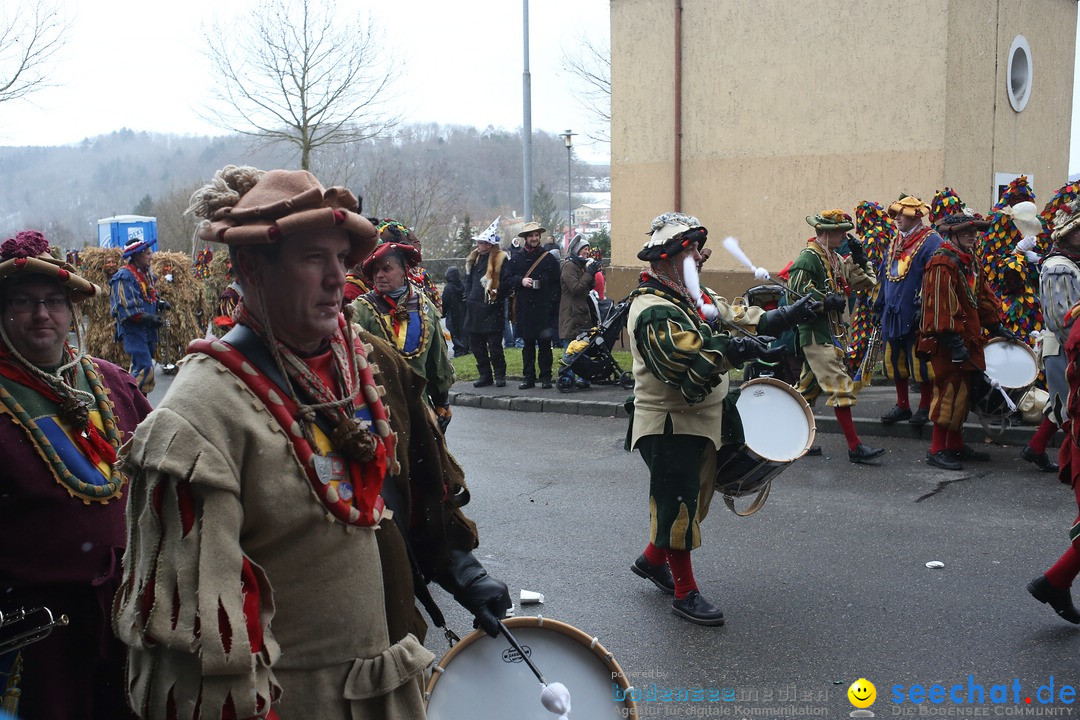 Festumzug mit Motivwagen: Stockach am Bodensee, 01.02.2015