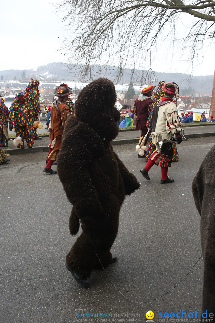 Festumzug mit Motivwagen: Stockach am Bodensee, 01.02.2015