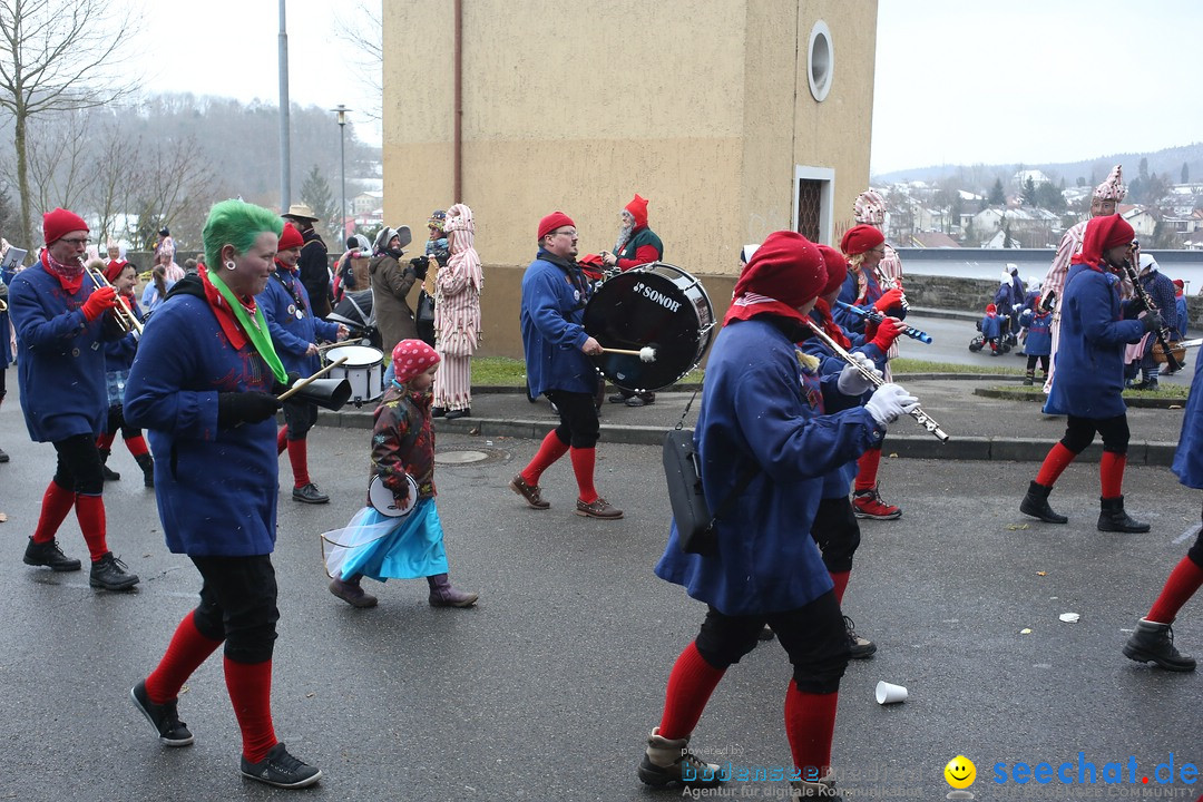 Festumzug mit Motivwagen: Stockach am Bodensee, 01.02.2015