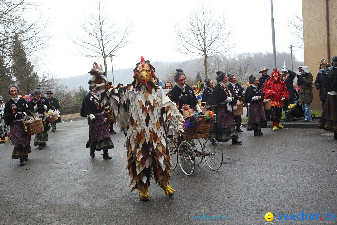 Festumzug mit Motivwagen: Stockach am Bodensee, 01.02.2015