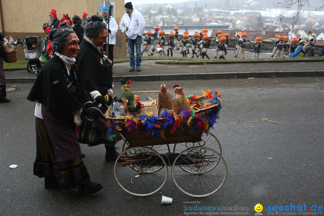 Festumzug mit Motivwagen: Stockach am Bodensee, 01.02.2015