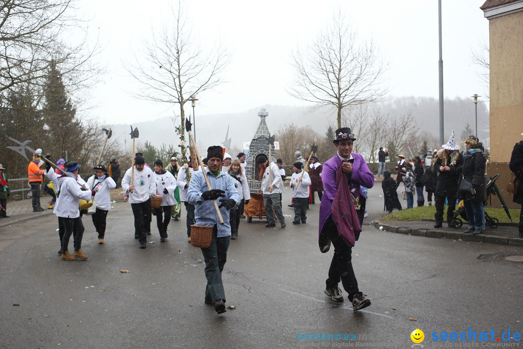 Festumzug mit Motivwagen: Stockach am Bodensee, 01.02.2015