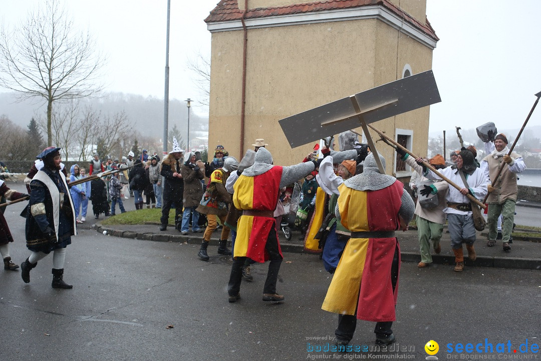 Festumzug mit Motivwagen: Stockach am Bodensee, 01.02.2015