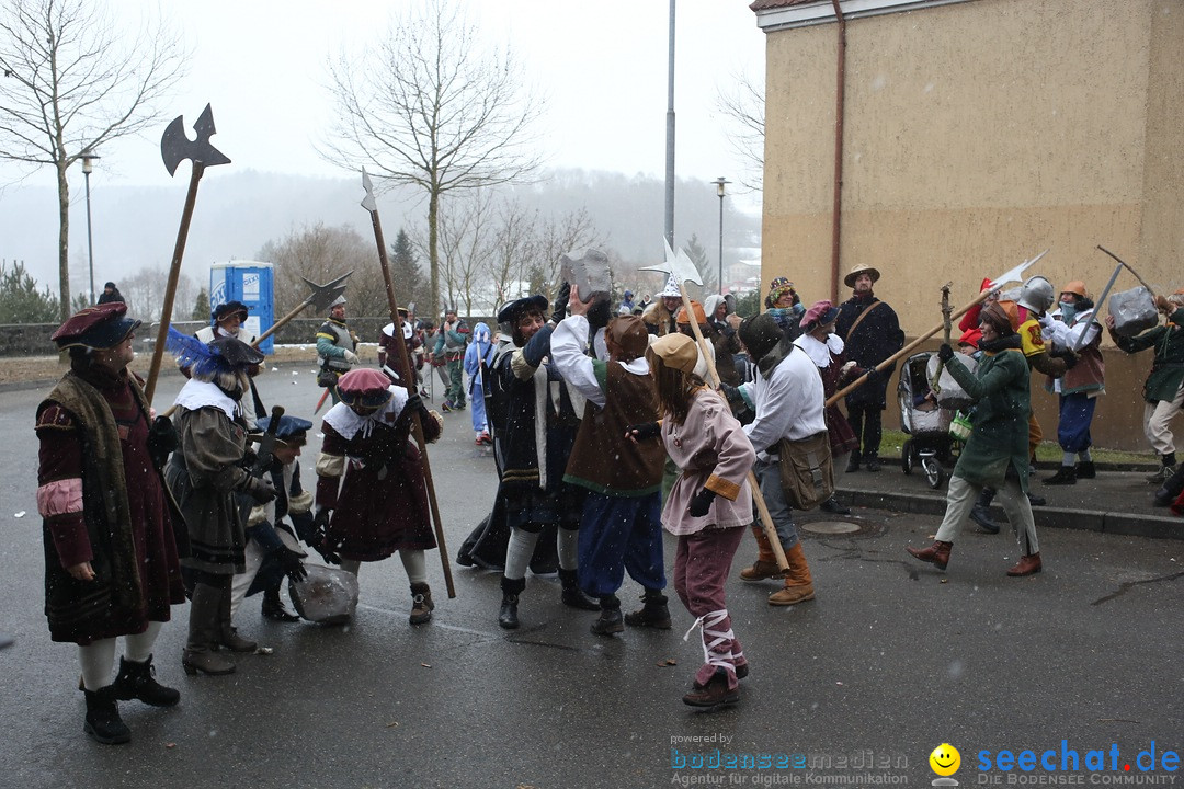 Festumzug mit Motivwagen: Stockach am Bodensee, 01.02.2015