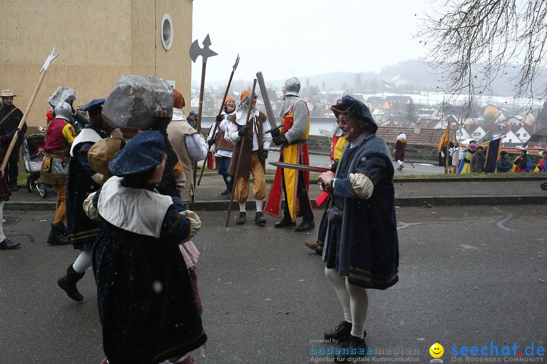 Festumzug mit Motivwagen: Stockach am Bodensee, 01.02.2015