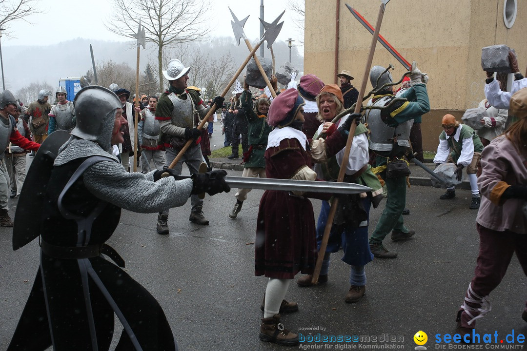 Festumzug mit Motivwagen: Stockach am Bodensee, 01.02.2015