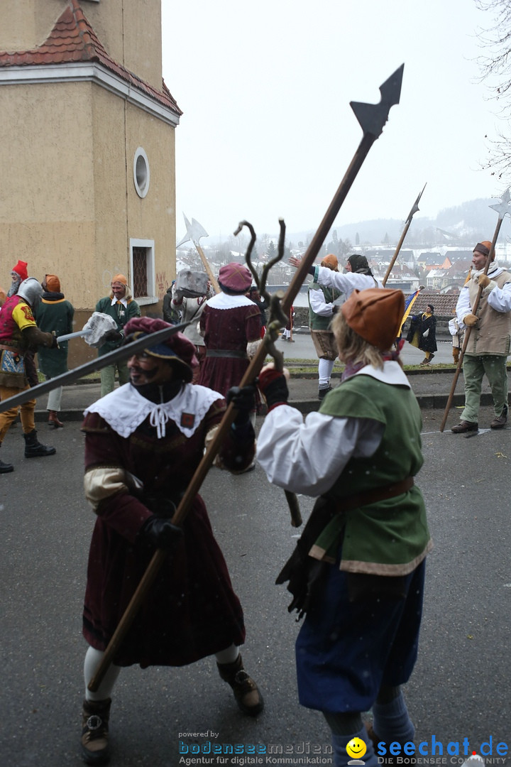 Festumzug mit Motivwagen: Stockach am Bodensee, 01.02.2015