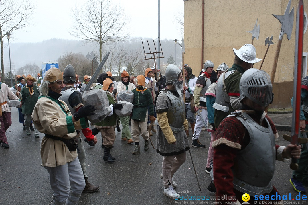 Festumzug mit Motivwagen: Stockach am Bodensee, 01.02.2015