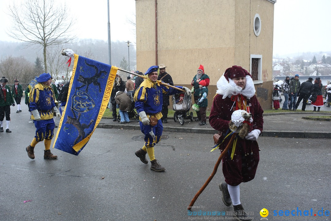 Festumzug mit Motivwagen: Stockach am Bodensee, 01.02.2015