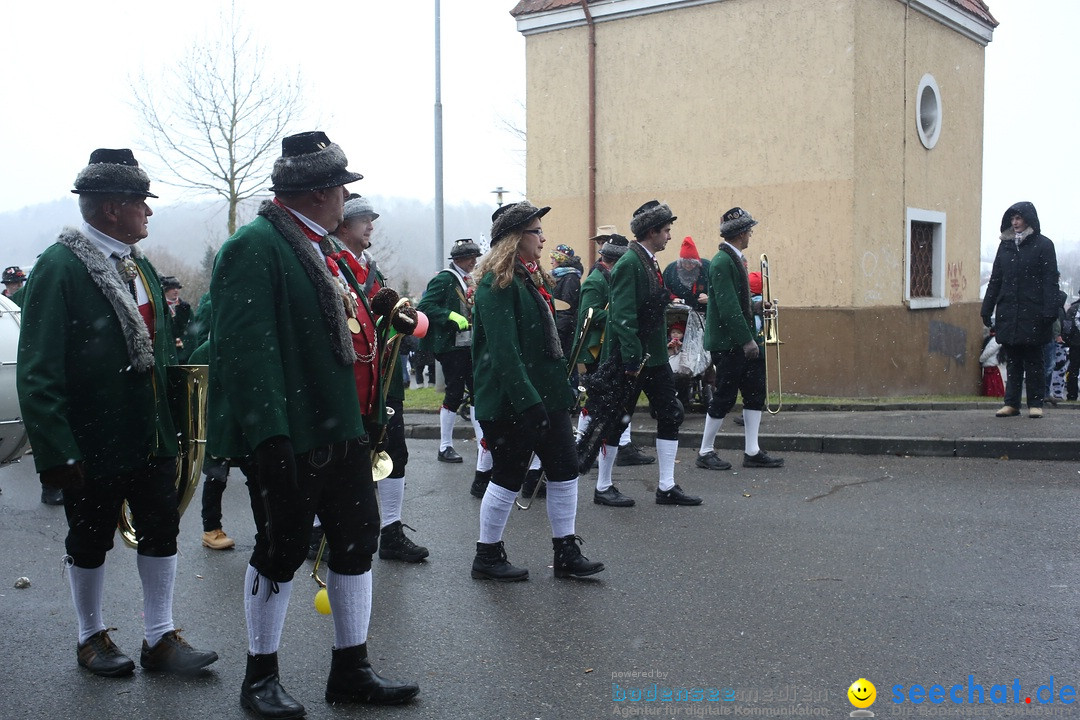 Festumzug mit Motivwagen: Stockach am Bodensee, 01.02.2015