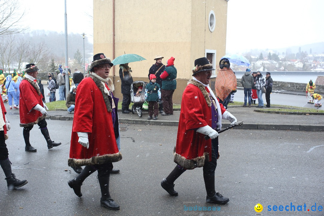 Festumzug mit Motivwagen: Stockach am Bodensee, 01.02.2015