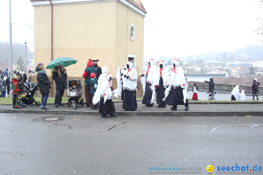 Festumzug mit Motivwagen: Stockach am Bodensee, 01.02.2015