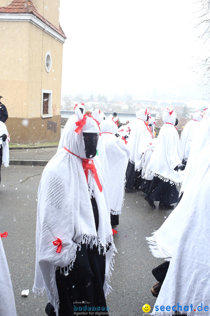 Festumzug mit Motivwagen: Stockach am Bodensee, 01.02.2015