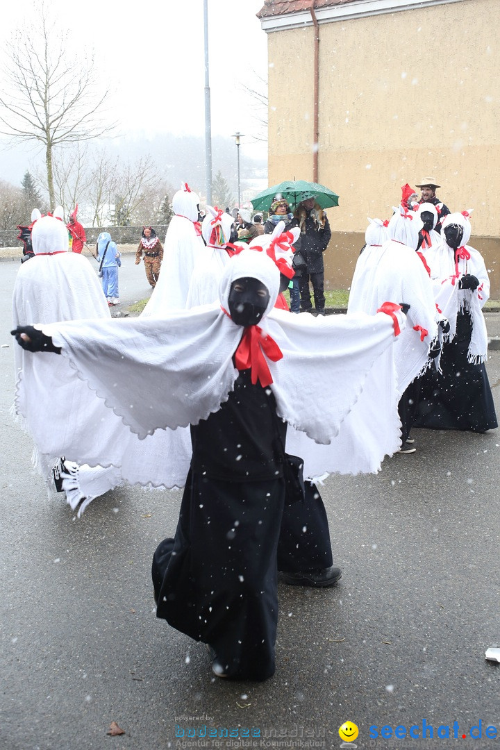 Festumzug mit Motivwagen: Stockach am Bodensee, 01.02.2015