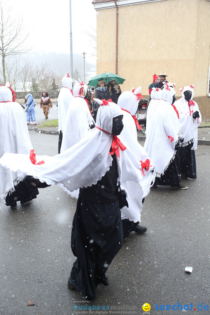 Festumzug mit Motivwagen: Stockach am Bodensee, 01.02.2015