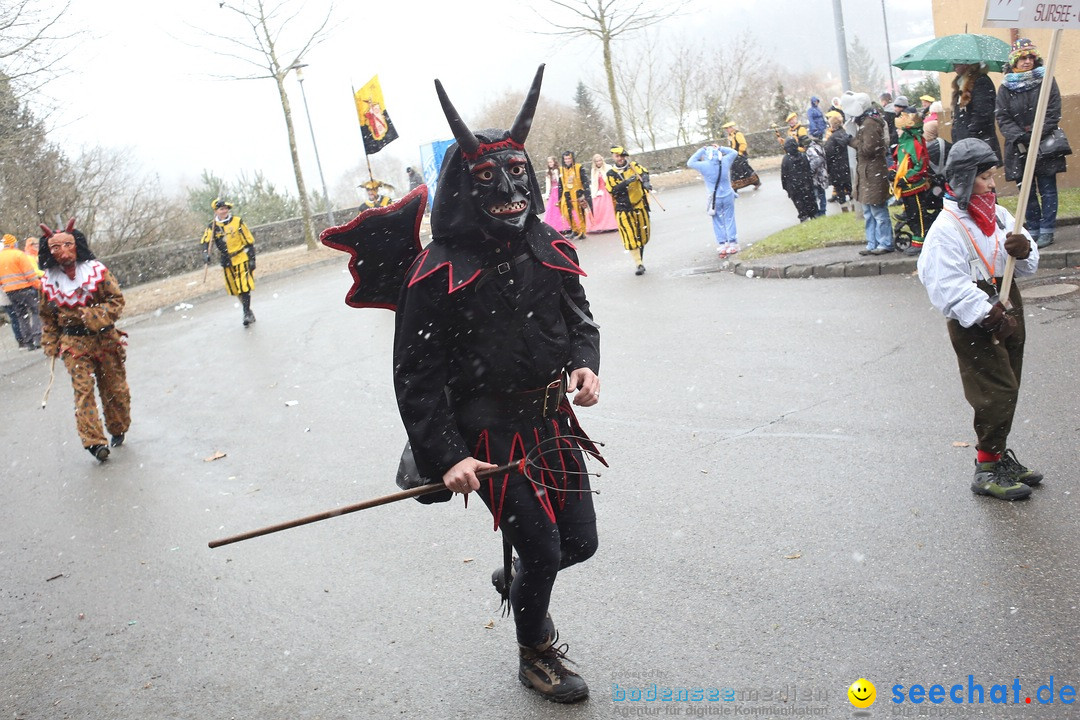 Festumzug mit Motivwagen: Stockach am Bodensee, 01.02.2015