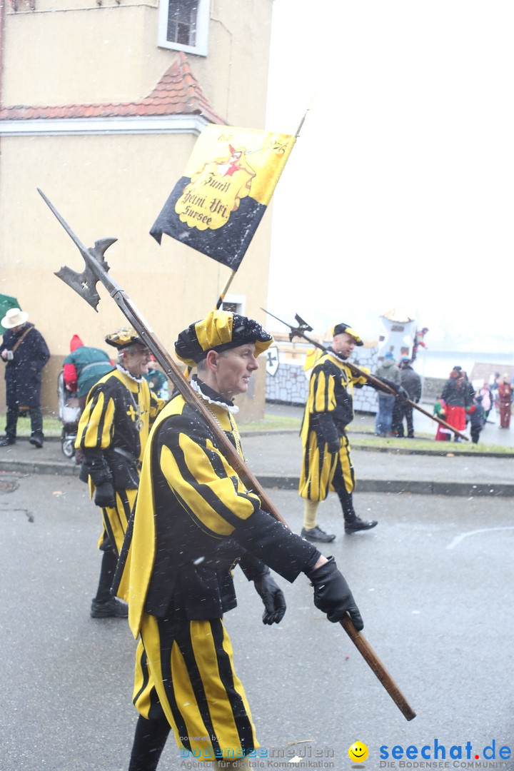 Festumzug mit Motivwagen: Stockach am Bodensee, 01.02.2015