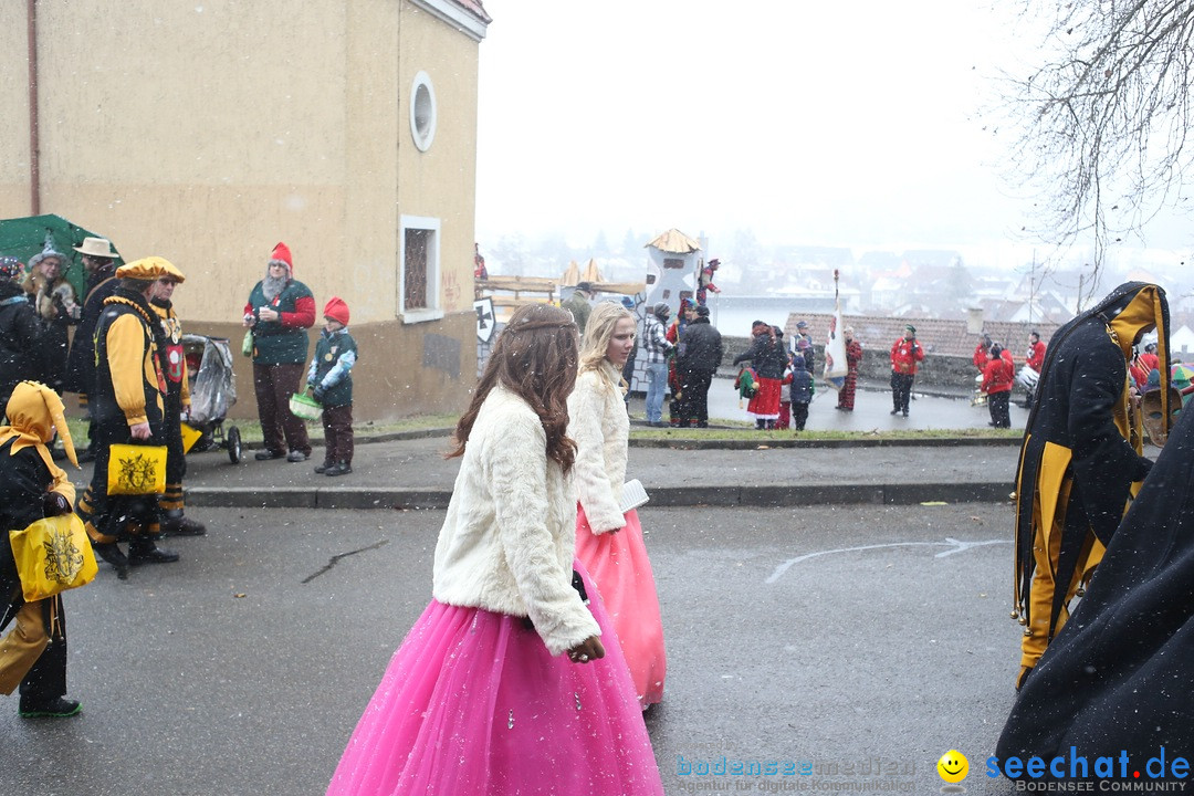 Festumzug mit Motivwagen: Stockach am Bodensee, 01.02.2015