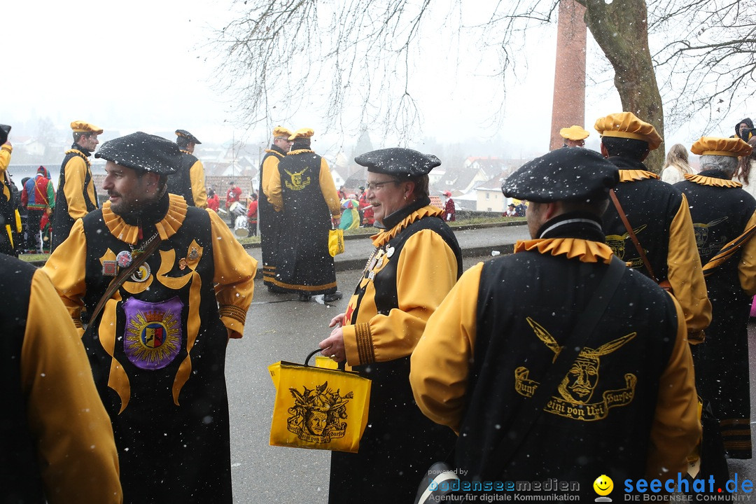 Festumzug mit Motivwagen: Stockach am Bodensee, 01.02.2015