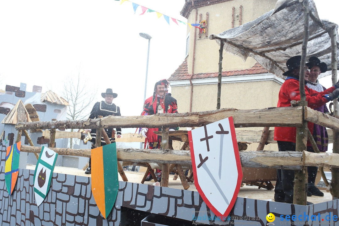 Festumzug mit Motivwagen: Stockach am Bodensee, 01.02.2015