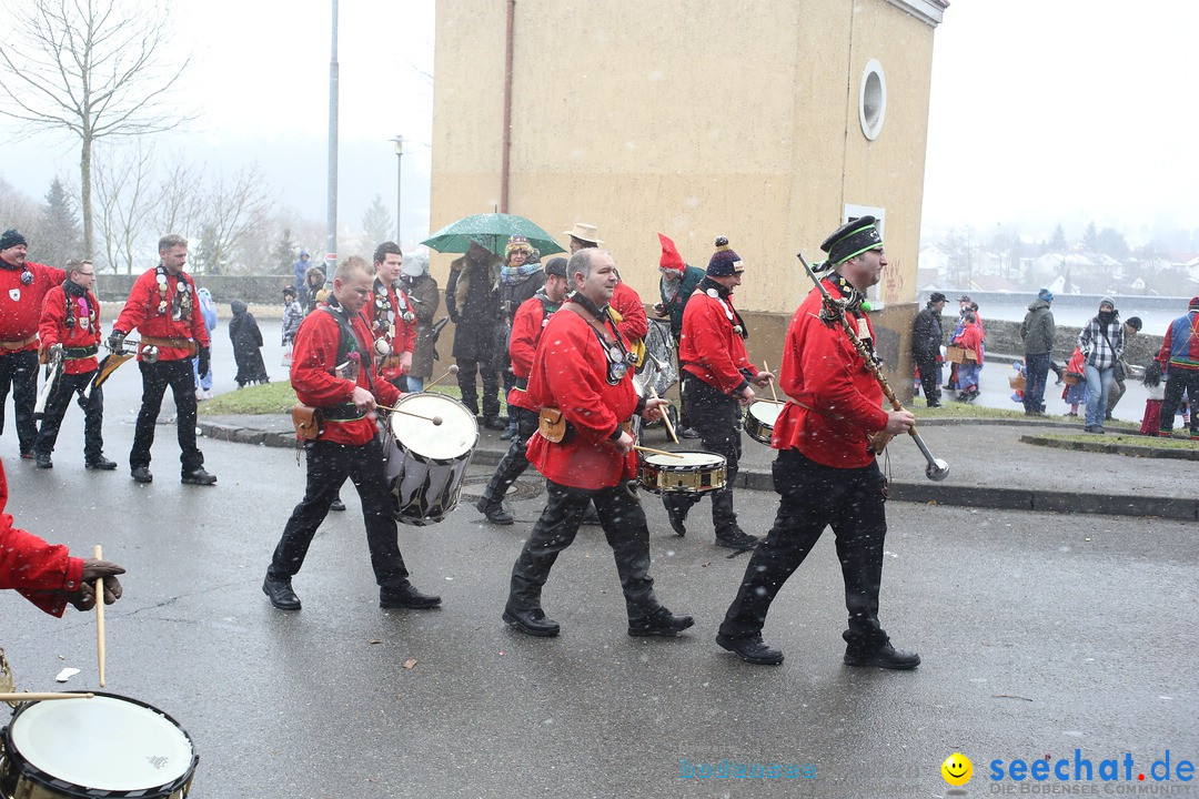 Festumzug mit Motivwagen: Stockach am Bodensee, 01.02.2015