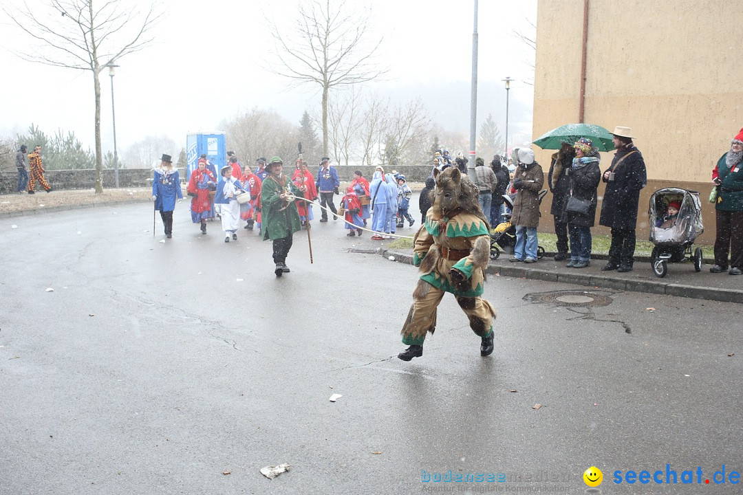 Festumzug mit Motivwagen: Stockach am Bodensee, 01.02.2015