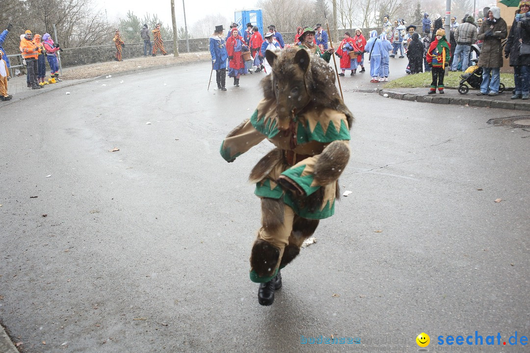 Festumzug mit Motivwagen: Stockach am Bodensee, 01.02.2015