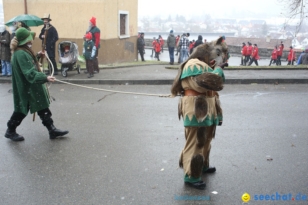 Festumzug mit Motivwagen: Stockach am Bodensee, 01.02.2015