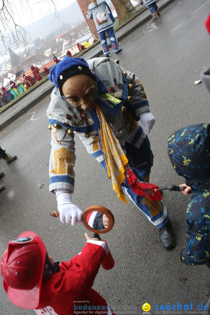 Festumzug mit Motivwagen: Stockach am Bodensee, 01.02.2015