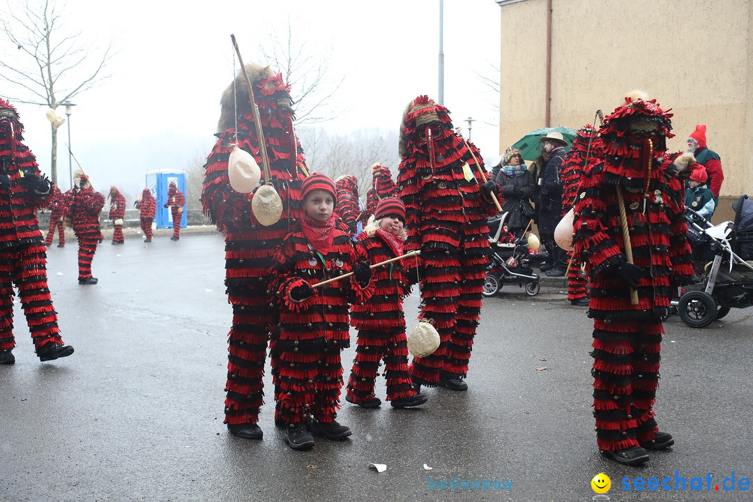 Festumzug mit Motivwagen: Stockach am Bodensee, 01.02.2015