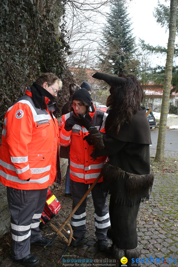 Festumzug mit Motivwagen: Stockach am Bodensee, 01.02.2015