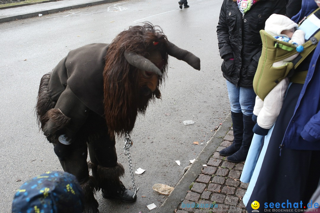 Festumzug mit Motivwagen: Stockach am Bodensee, 01.02.2015