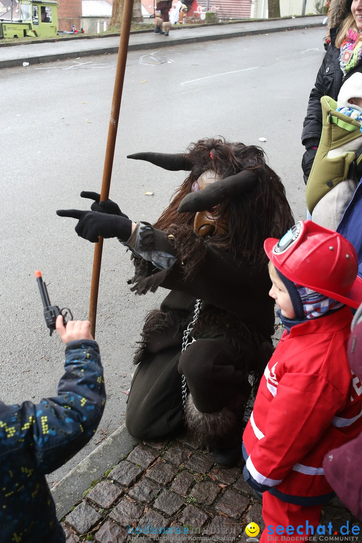 Festumzug mit Motivwagen: Stockach am Bodensee, 01.02.2015