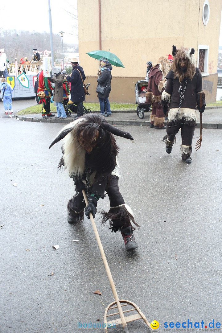 Festumzug mit Motivwagen: Stockach am Bodensee, 01.02.2015