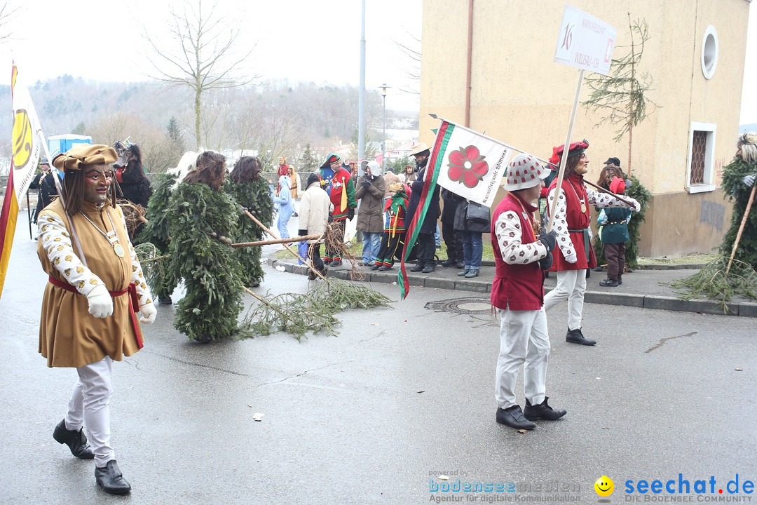 Festumzug mit Motivwagen: Stockach am Bodensee, 01.02.2015