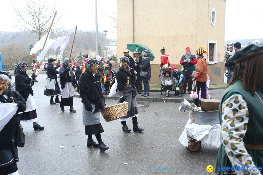 Festumzug mit Motivwagen: Stockach am Bodensee, 01.02.2015