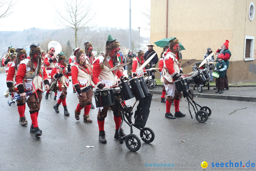 Festumzug mit Motivwagen: Stockach am Bodensee, 01.02.2015