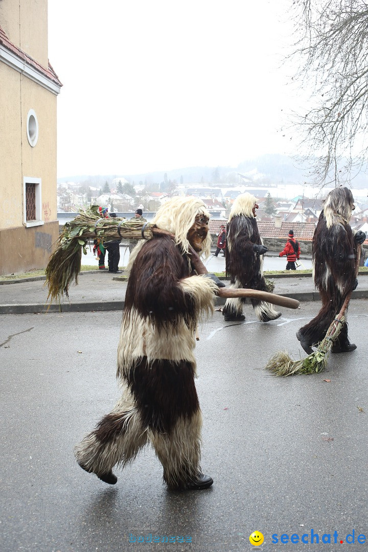 Festumzug mit Motivwagen: Stockach am Bodensee, 01.02.2015