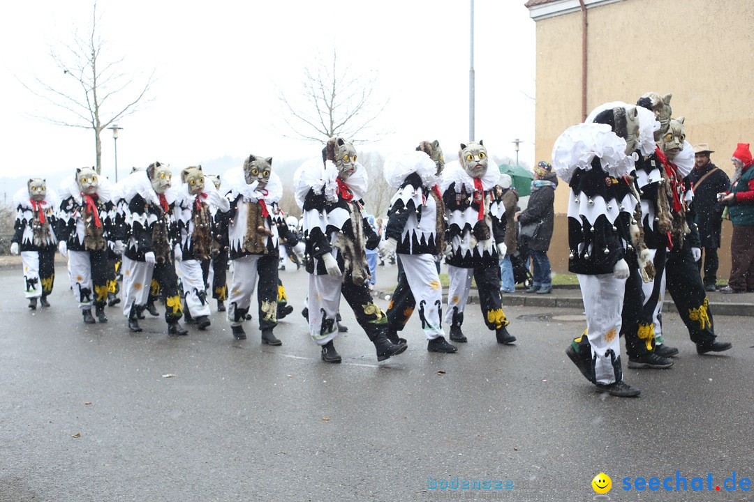 Festumzug mit Motivwagen: Stockach am Bodensee, 01.02.2015