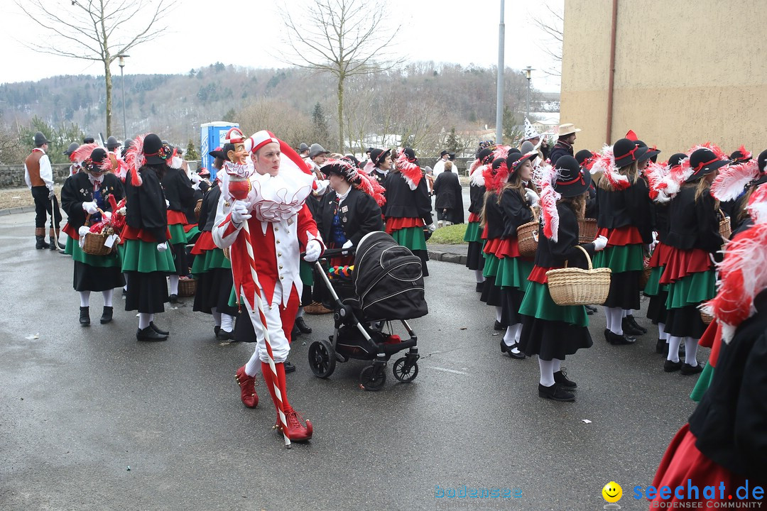 Festumzug mit Motivwagen: Stockach am Bodensee, 01.02.2015